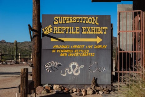 Reptilienausstellung in Goldfield Ghost Town